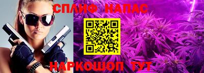 шишки Краснодар