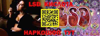 шишки Краснодар