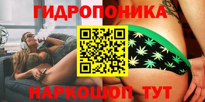 spice Краснознаменск