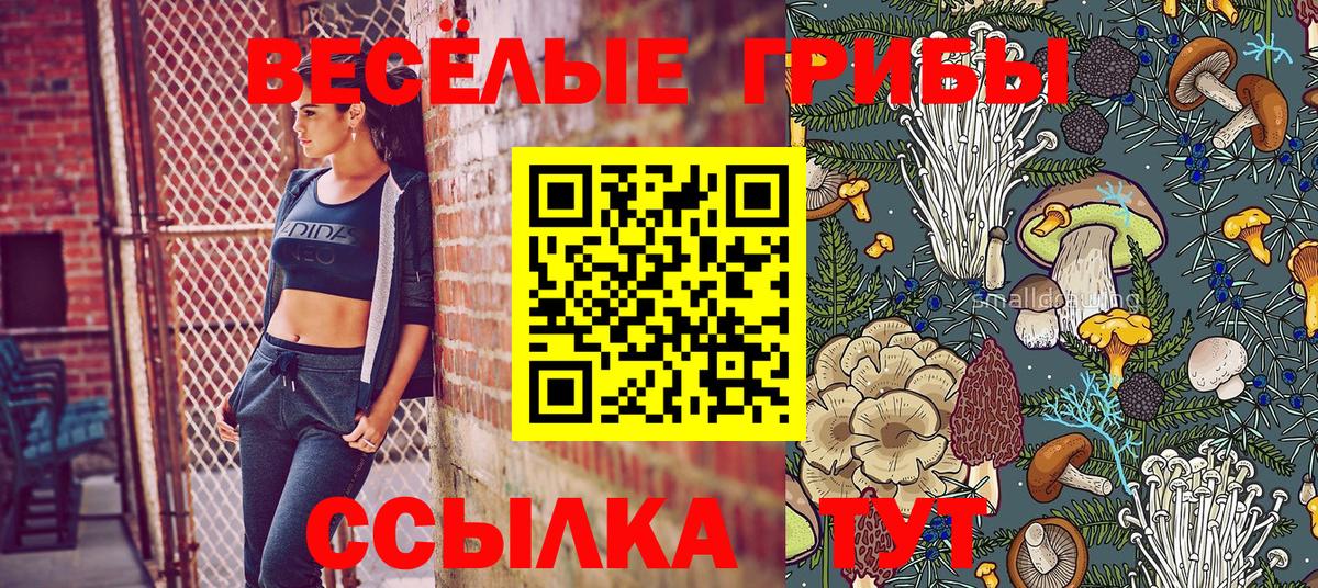 Галлюциногенные грибы ЛСД Геленджик