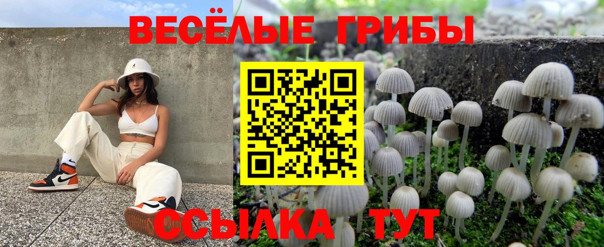 Псилоцибиновые грибы прущие грибы  Геленджик 