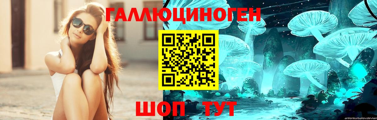 Галлюциногенные грибы мицелий Геленджик